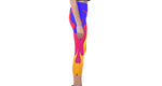 blueflame Capri Legging